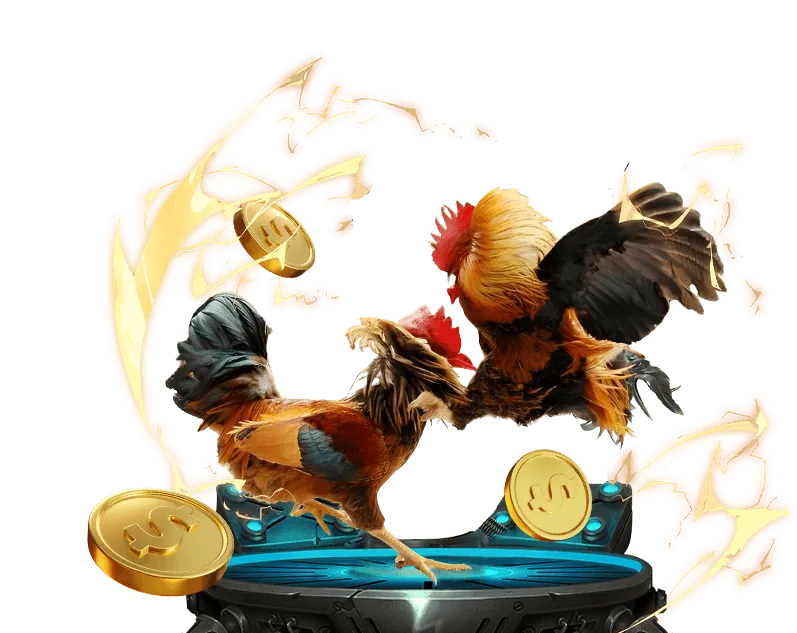 Đá gà cựa sắt kịch tính tại hb88 uy tín